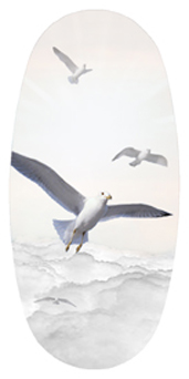 DASOV 101 WT Journey Home Clouds Birds White